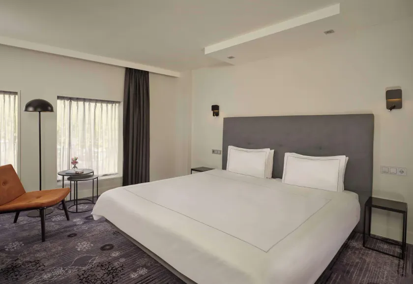 Park Plaza Eindhoven - Image 1