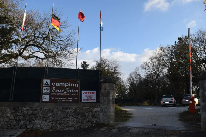 Villaggio Camping Bosco Selva - Image 1