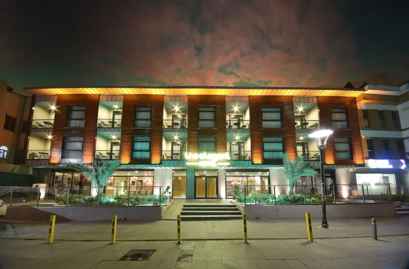 The Elegant Hotel - Image 1