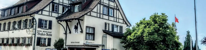 Bodenseehotel Weisses Rössli - Image 1