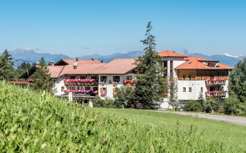 Hotel Peter - Image 1
