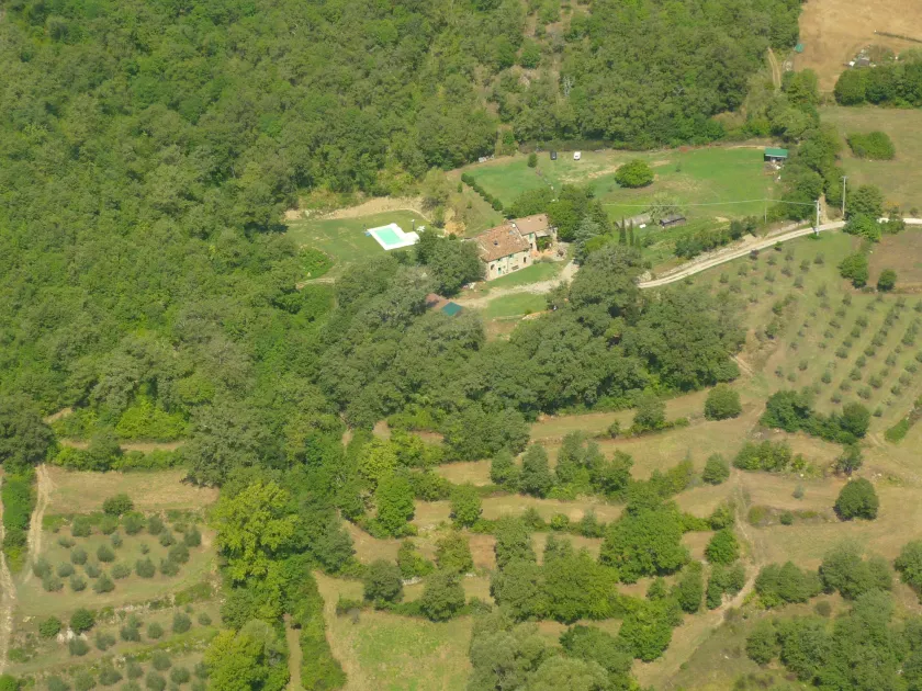 Antico Silbule - Image 1