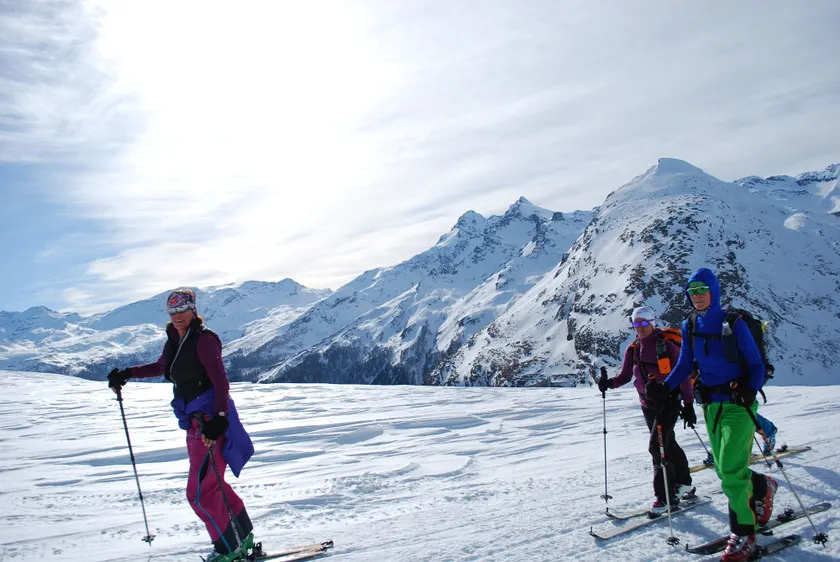 Alps Oriental Wellness HOTEL - Image 1
