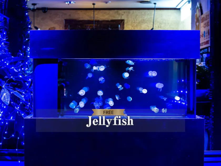 Hotel BaliAn Resort Kawasaki - Lobby