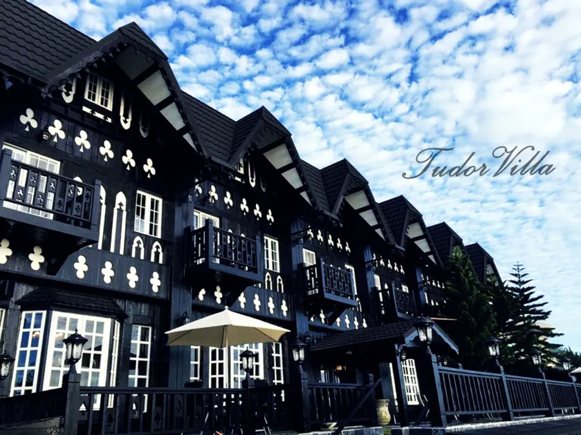 Tudor Dynasty - Image 1