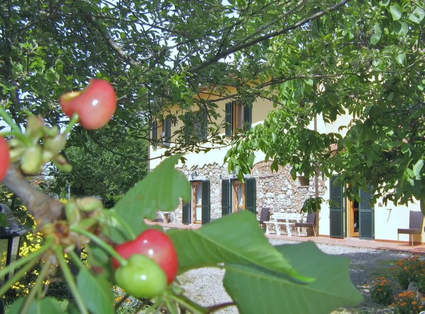 Agriturismo Il Gelso - Image 1