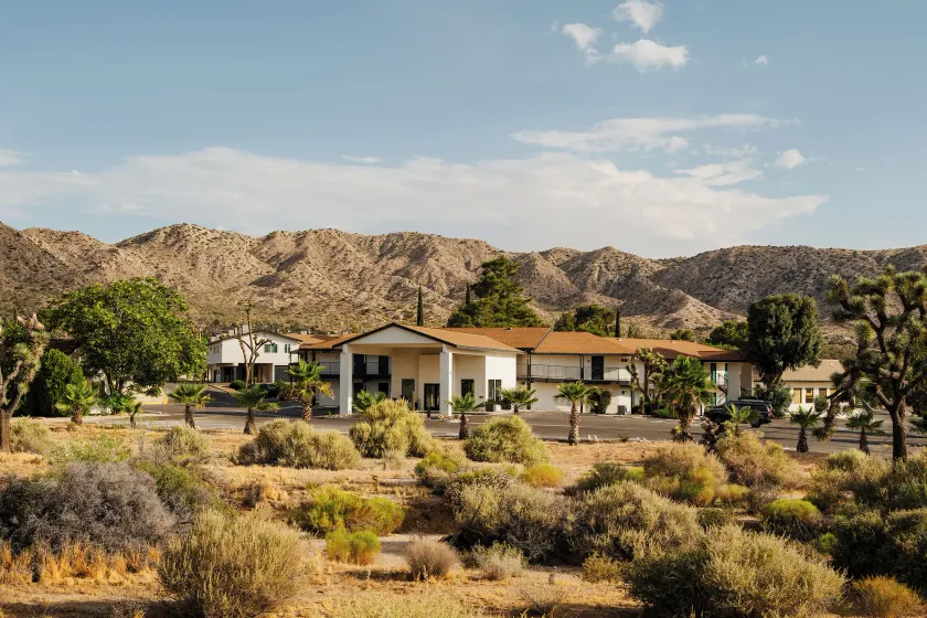 Field Station Joshua Tree - Image 1