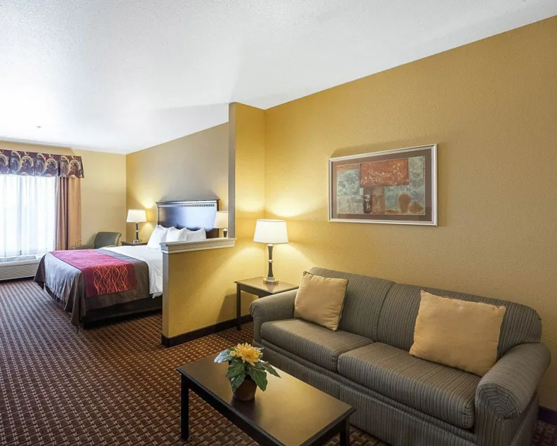 Comfort Inn & Suites Regional Medical Center - Image 1