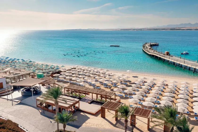 SRNTY Sahl Hasheesh - Ex Serenity Sky Arc - Image 1