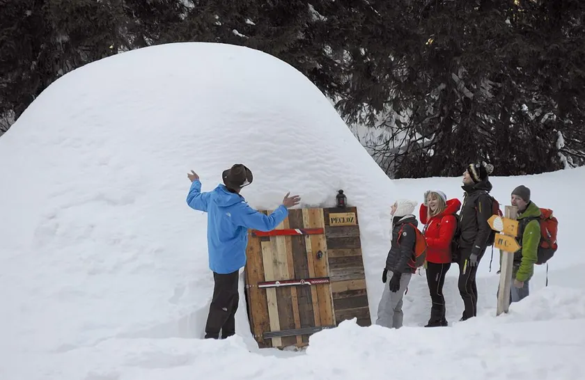 Eco Bivouac Village D'Igloo - Campground - Image 1