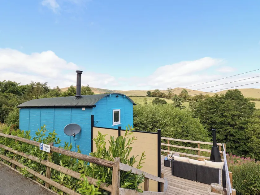 Cuckoo at Wild Valley Huts - Image 1
