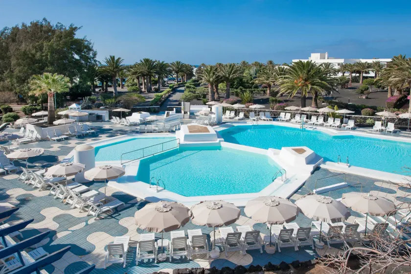 Relaxia Olivina - Image 1