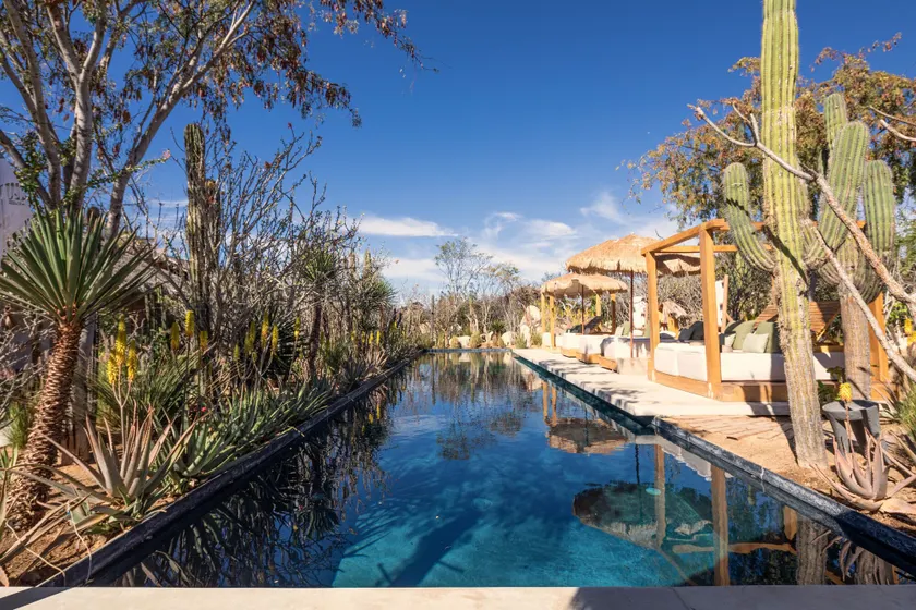 El Perdido Desert Dream- Todos Santos Adults Only - Image 1