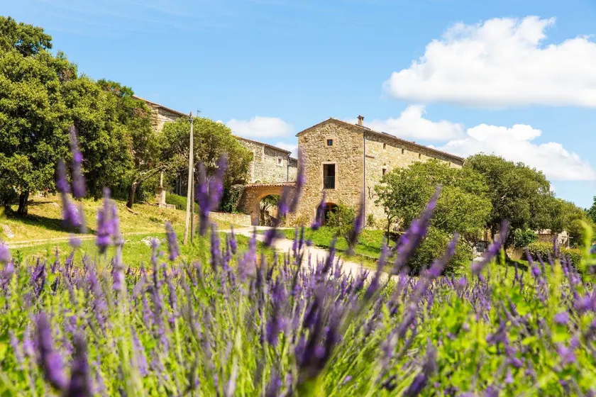 Domaine de l Astic - Image 1