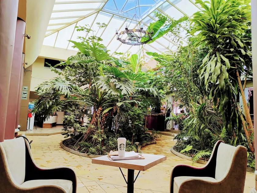Hotel Jardines del Centro - Image 1