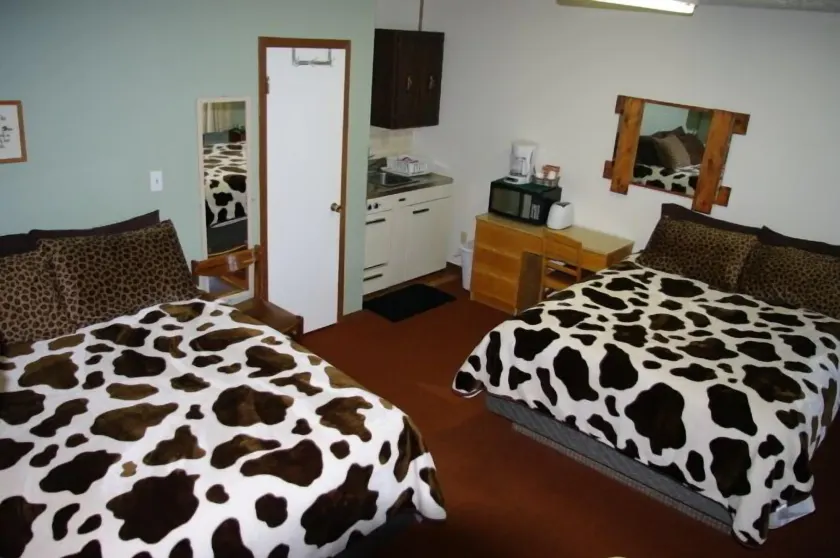 Wolseley Motel - Room