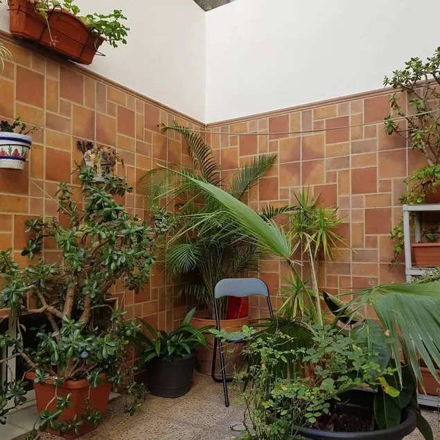 La Vega Rooms - Image 1