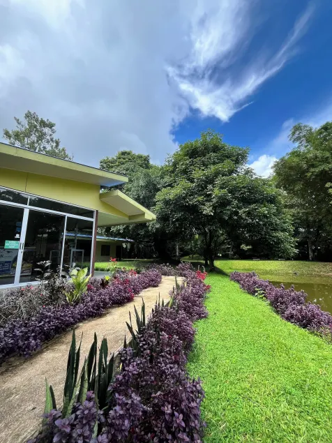 Hotel Colores del Arenal - Image 1
