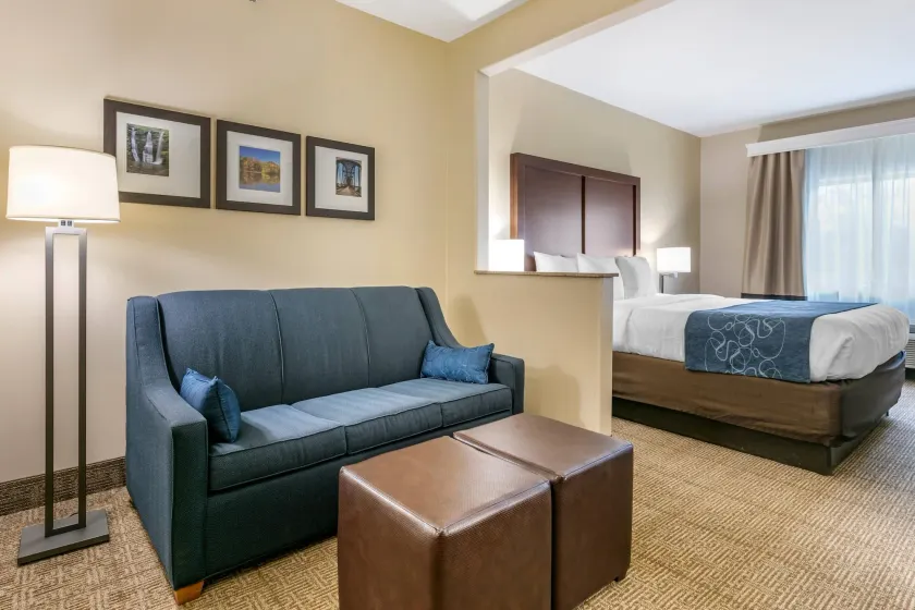 Comfort Suites Batesville - Image 1