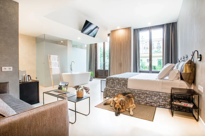 Casa Lirio by Blossom Hotels - Image 1