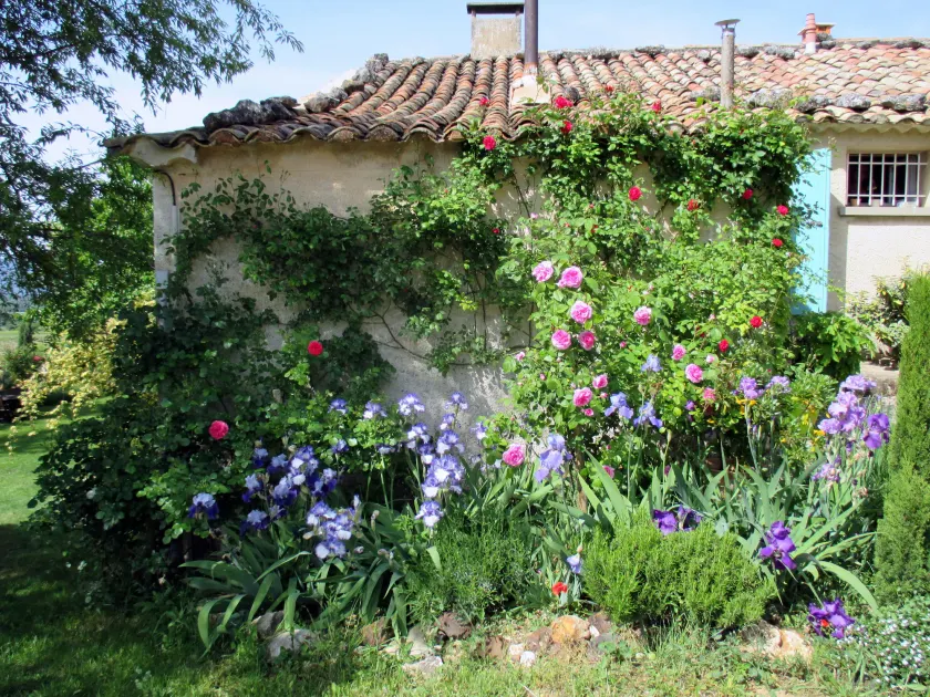 Le Mas Du Fort  - Image 1