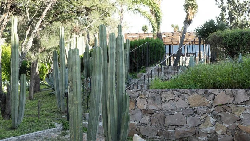 Hotel Casa FERNALI - Image 1