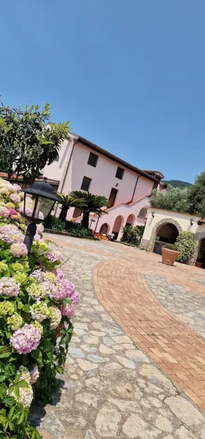 Tenuta D'Arienzo - Image 1
