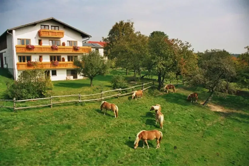 Biobauernhof Wolf-Hof - Image 1