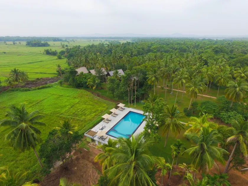 Thidas Arana - Image 1