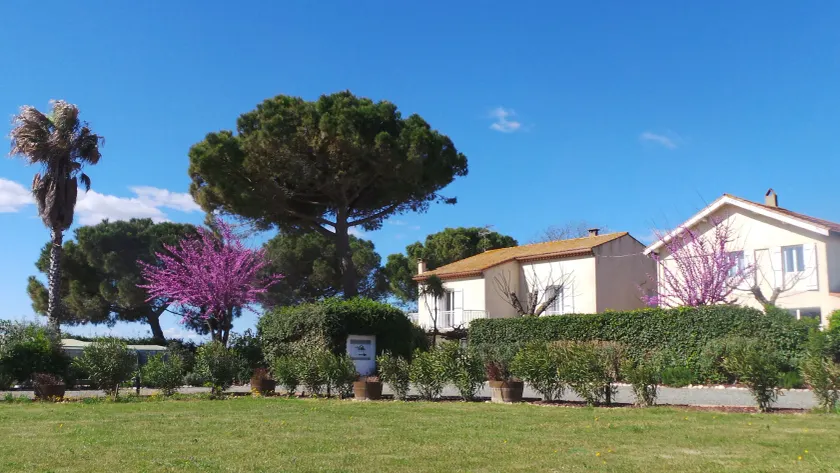 A l'Orée Des Vignes - Image 1