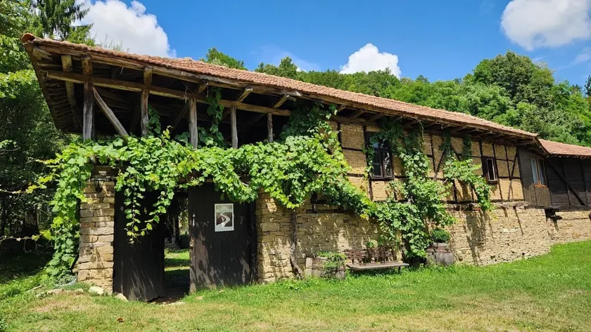 Little River Guest House - Image 1