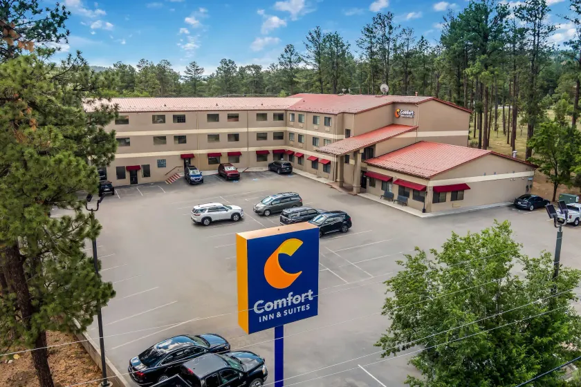Comfort Inn & Suites Midtown - Image 1