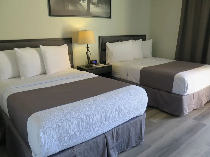 DTLA Hotel - Image 1