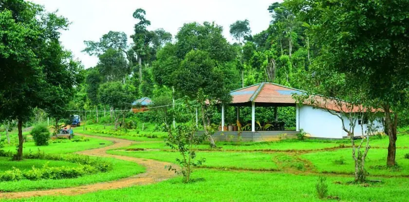 Muccole Stay - Image 1