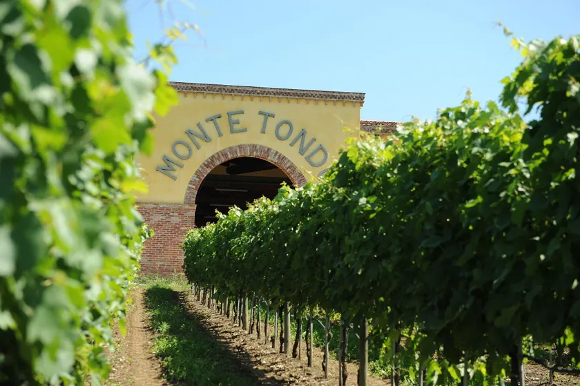 Monte Tondo Winery - Image 1