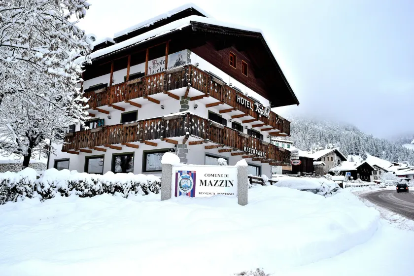 Hotel Vajolet - Image 1