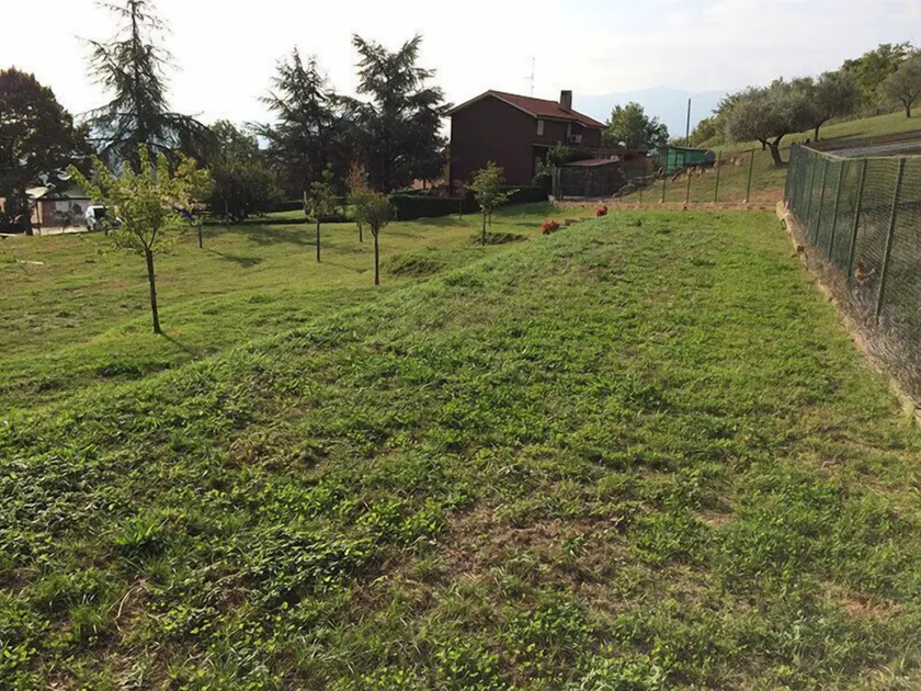 Tenuta Del Daino - Image 1