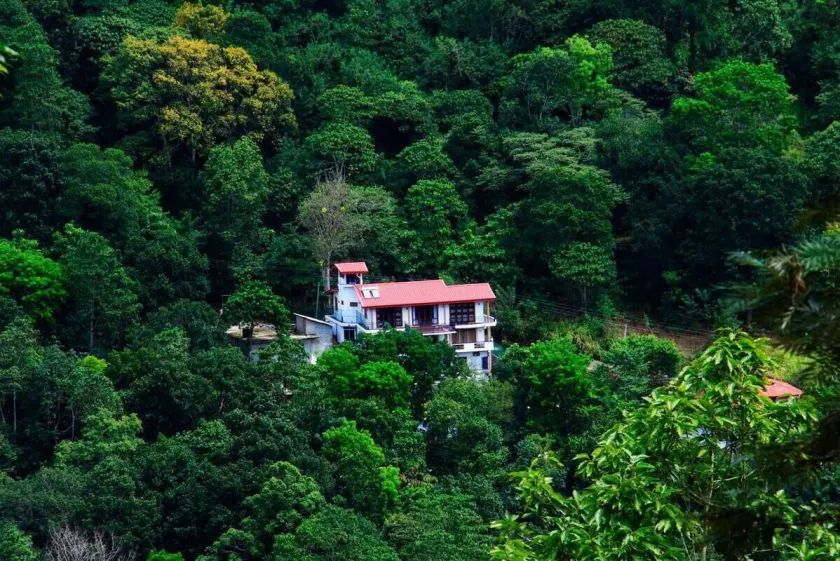 The Springfields Kandy - Image 1