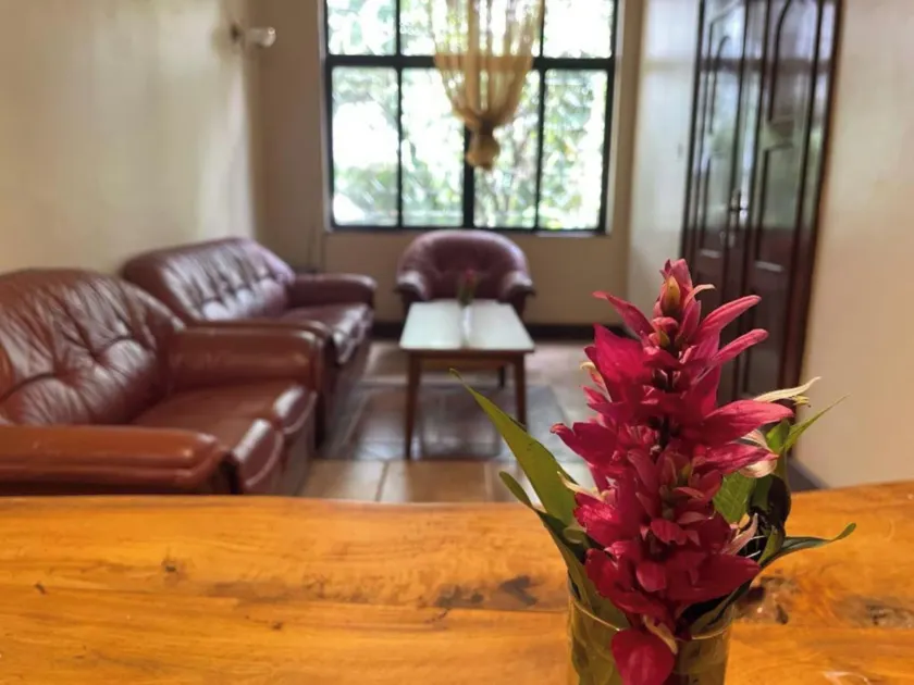 Olivia Guesthouse - Image 1