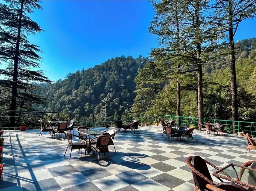 Fairmount Shimla Forest Greens - Image 1