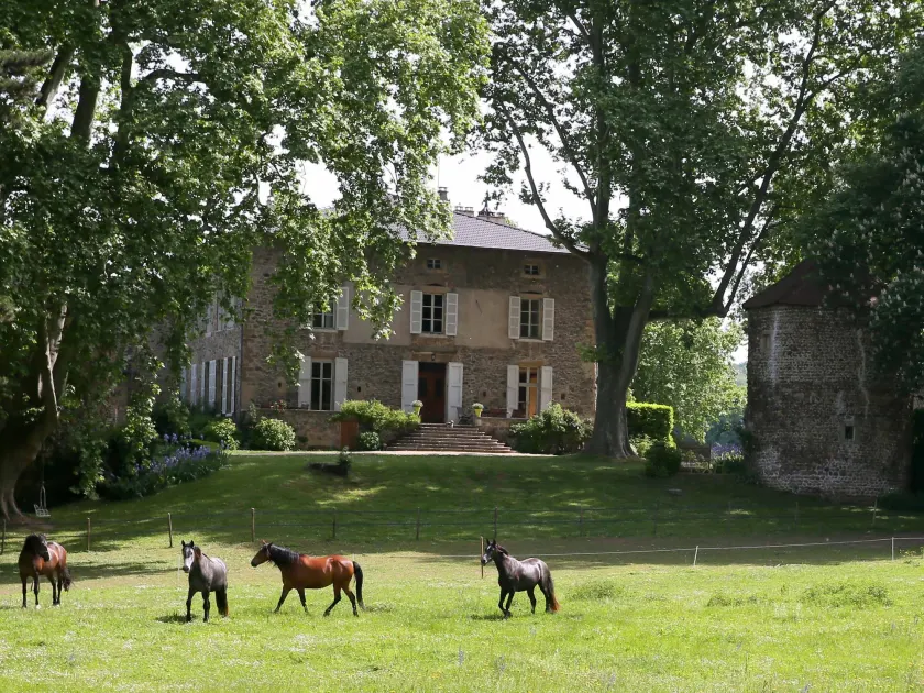 Domaine La Bonne Etoile - Image 1