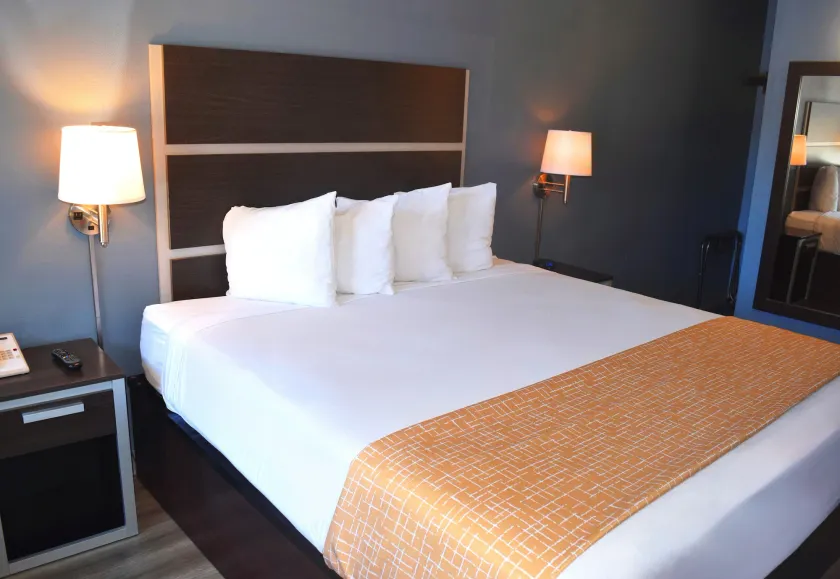 SF Central Hotel - Image 1