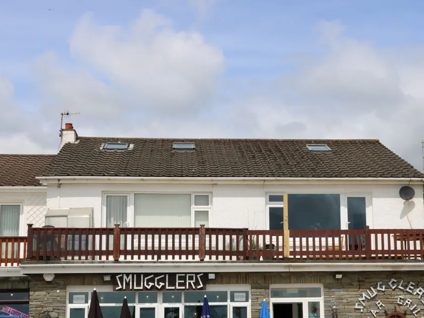 The Cartwheel - Image 1