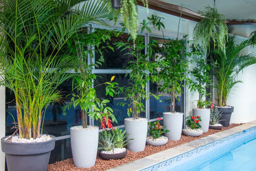 Prestige Manaus Hotel - Image 1