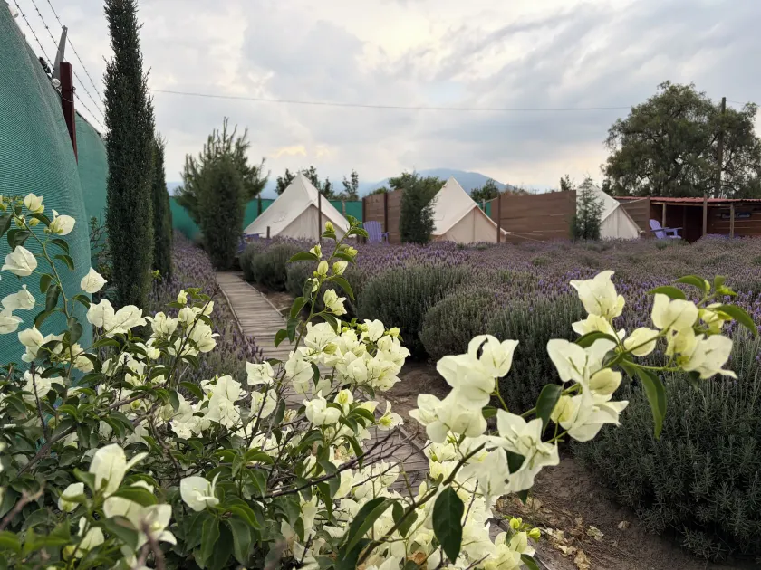 Glamping Rincón de Lavanda - Image 1