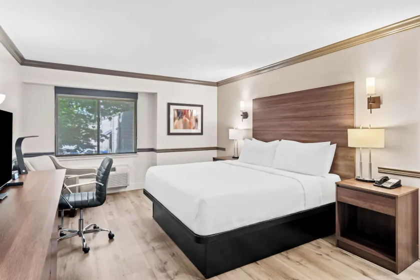 Best Western Maple Ridge - Image 1