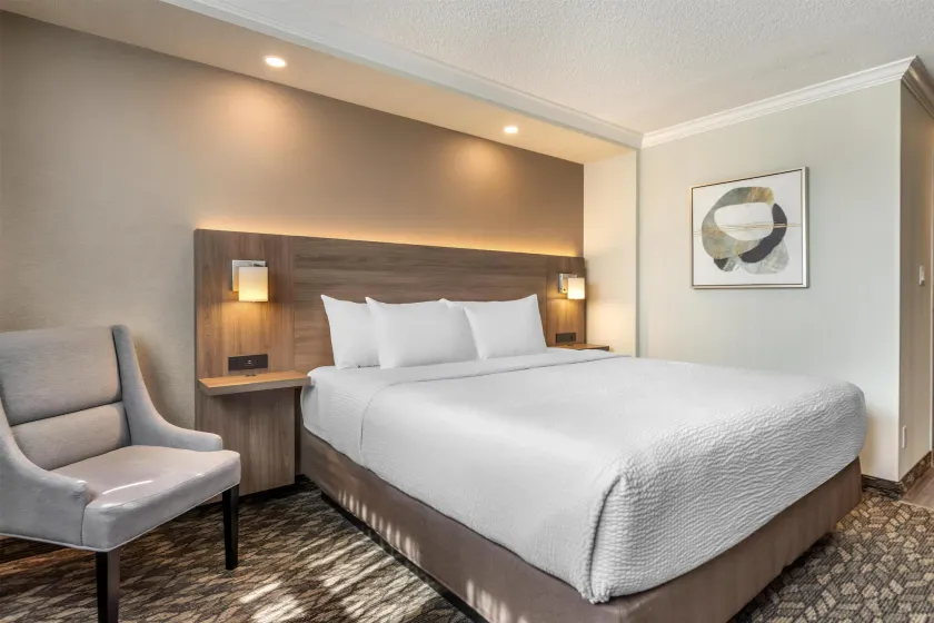 BEST WESTERN PLUS Carlton Plaza Hotel - Image 1