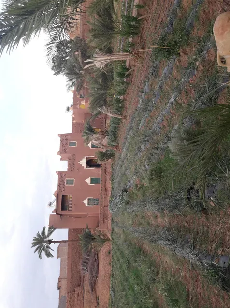 Auberge jnane dar diafa se trouve au centre de tamegrouteface de la bibiotheque - Image 1