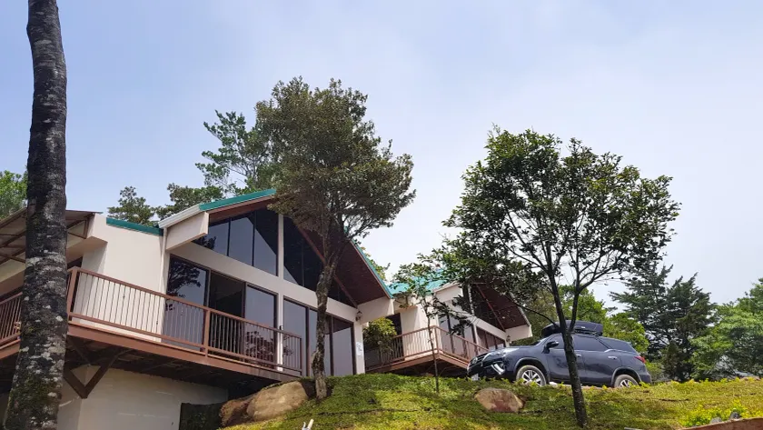 Green Forest Rustic Houses - Image 1