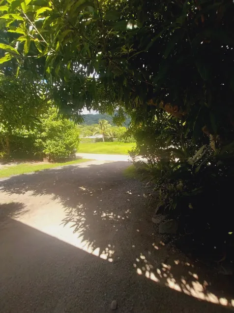 Tapuhere Lodge - Image 1